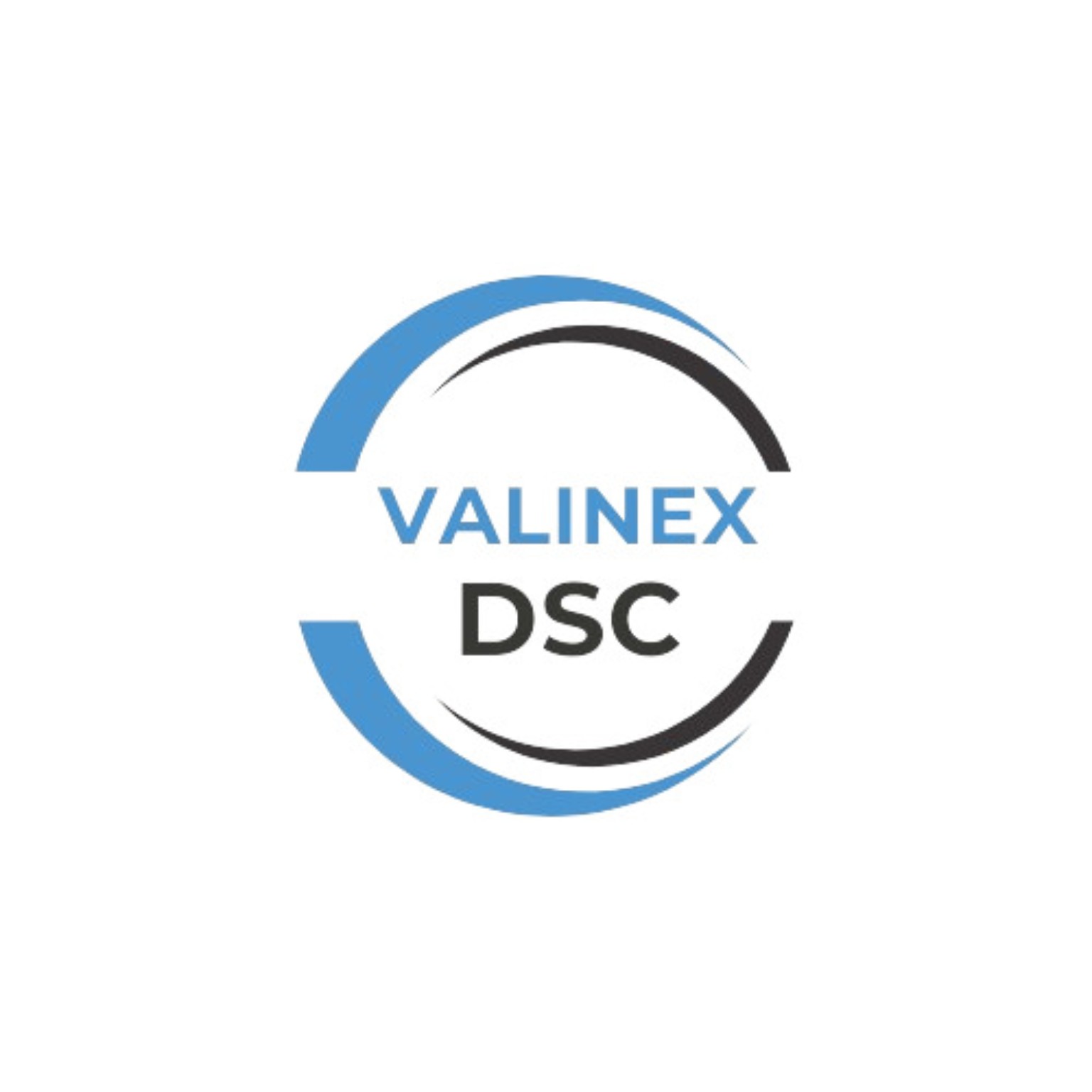 Valinex DSC logo